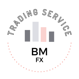 BM FX INVESTMENTS